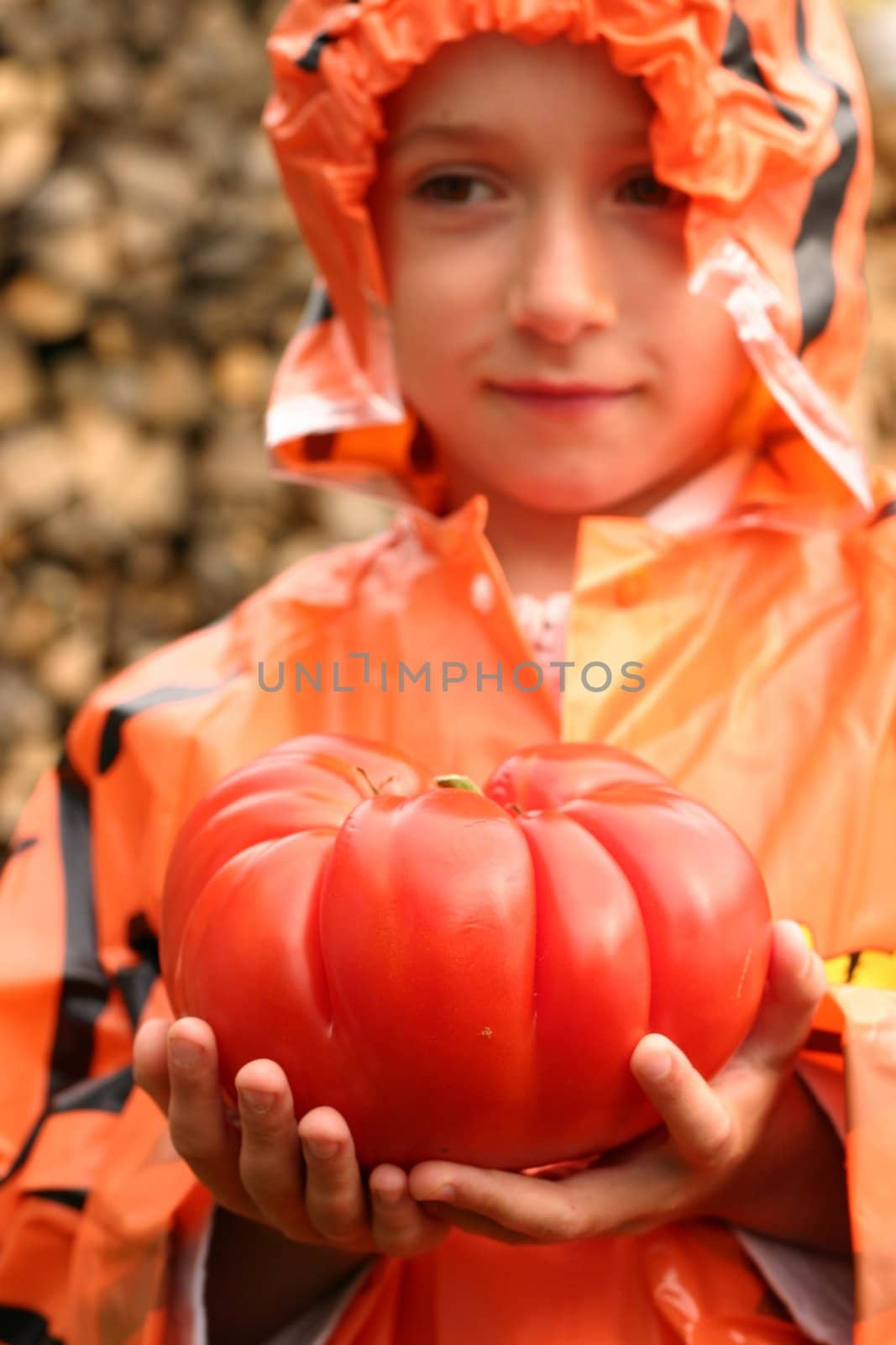 boy in a orange raincoat holding a big red tomato in his hands