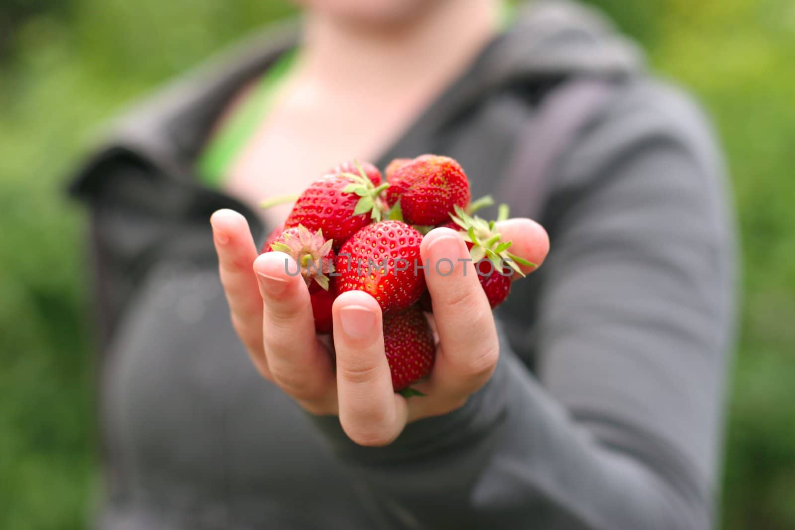 woman hands holding fresh strawberries