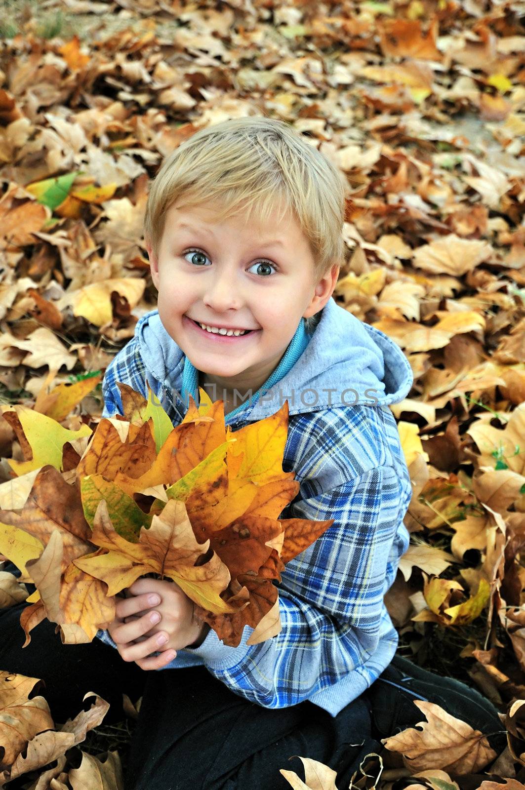 Young boy playing with the autumn leaves