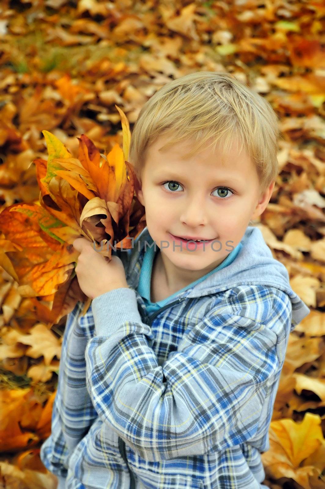 Young boy playing with the autumn leaves after school