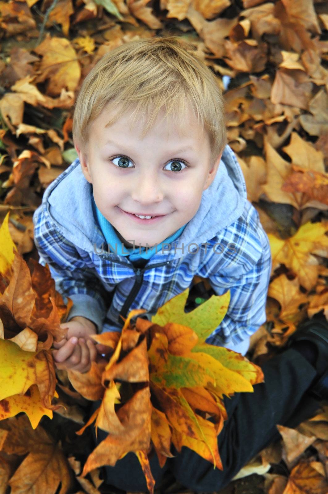 young schoolboy boy playing with the autumn leaves