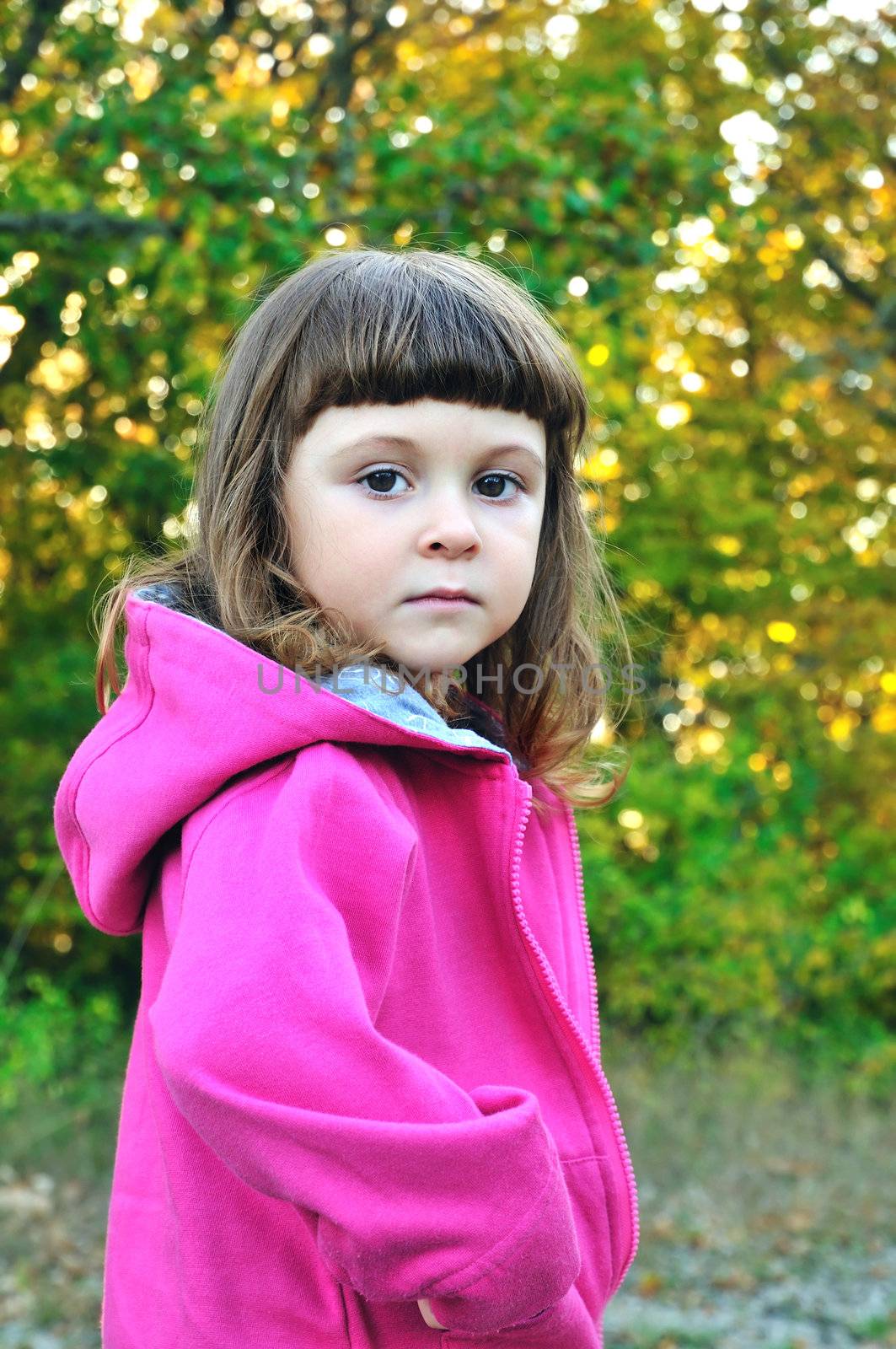 little girl  in the forest in fall time looking at the camera.