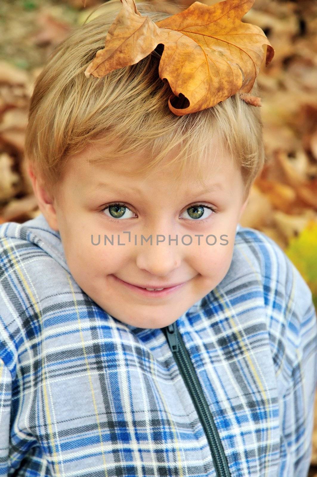 Young boy playing with leaves in fall time
