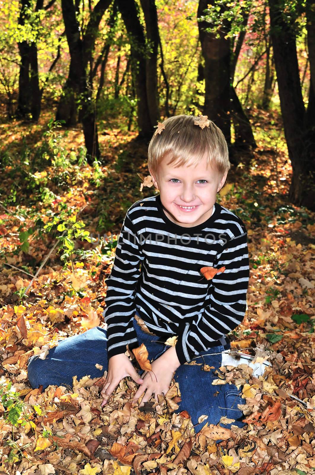 boy playing with yellow maple leaves in the forest
