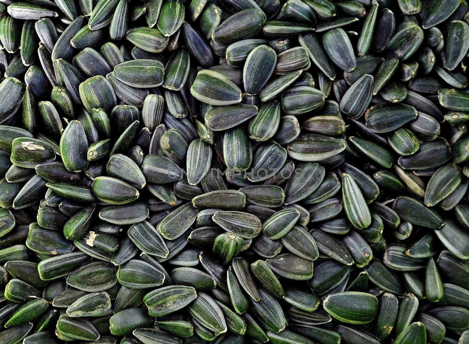 Dry sunflower'd seeds, it is possible to be background.