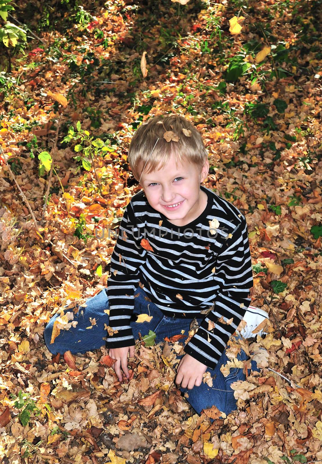 boy playing with yellow maple leaves in the forest.