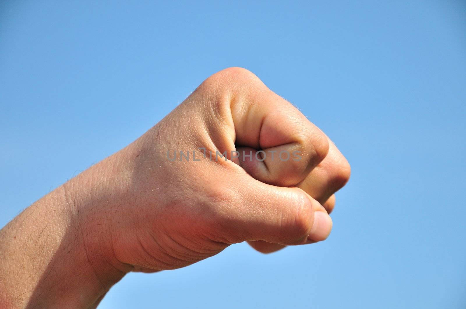 man's fist isolatad  on the blue background