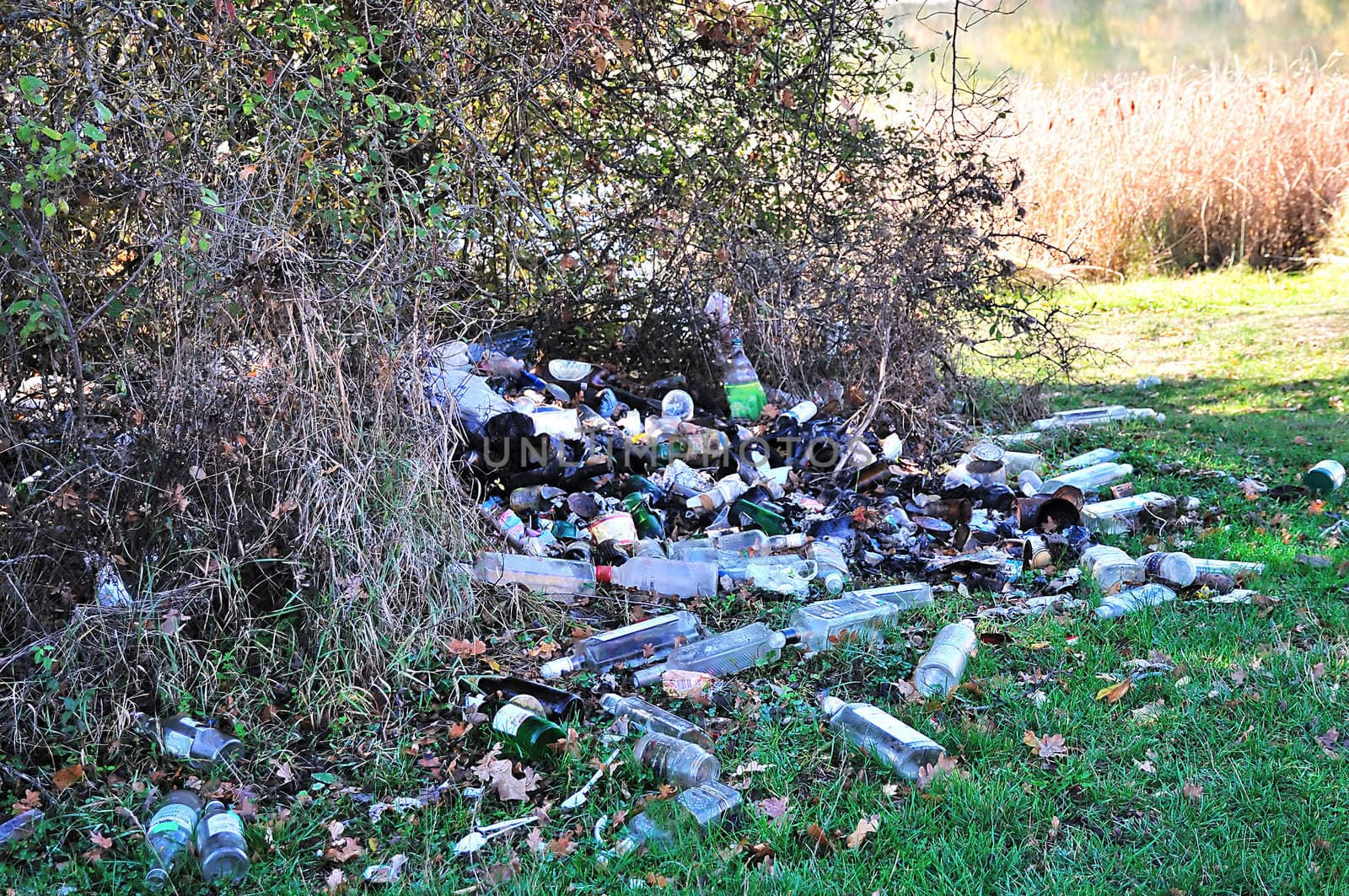 huge pile of rubbish in the forest