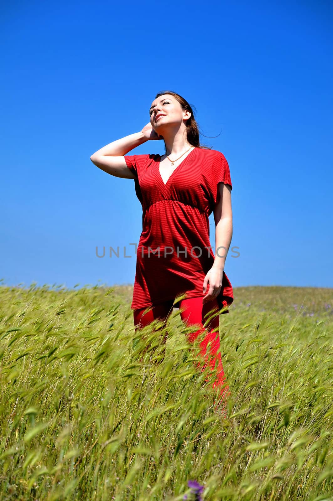 beautiful young brunette is standing in the field