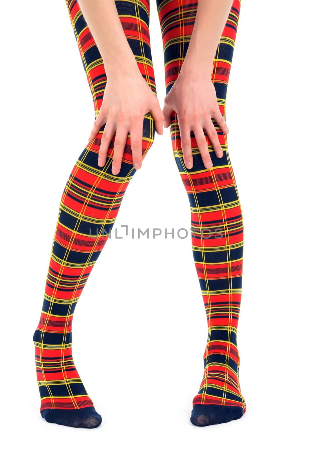 Funny legs in multicolored tights by anikasalsera