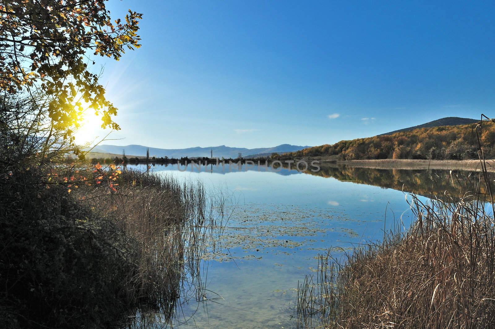 calm lake, reflection autumn forest on the water