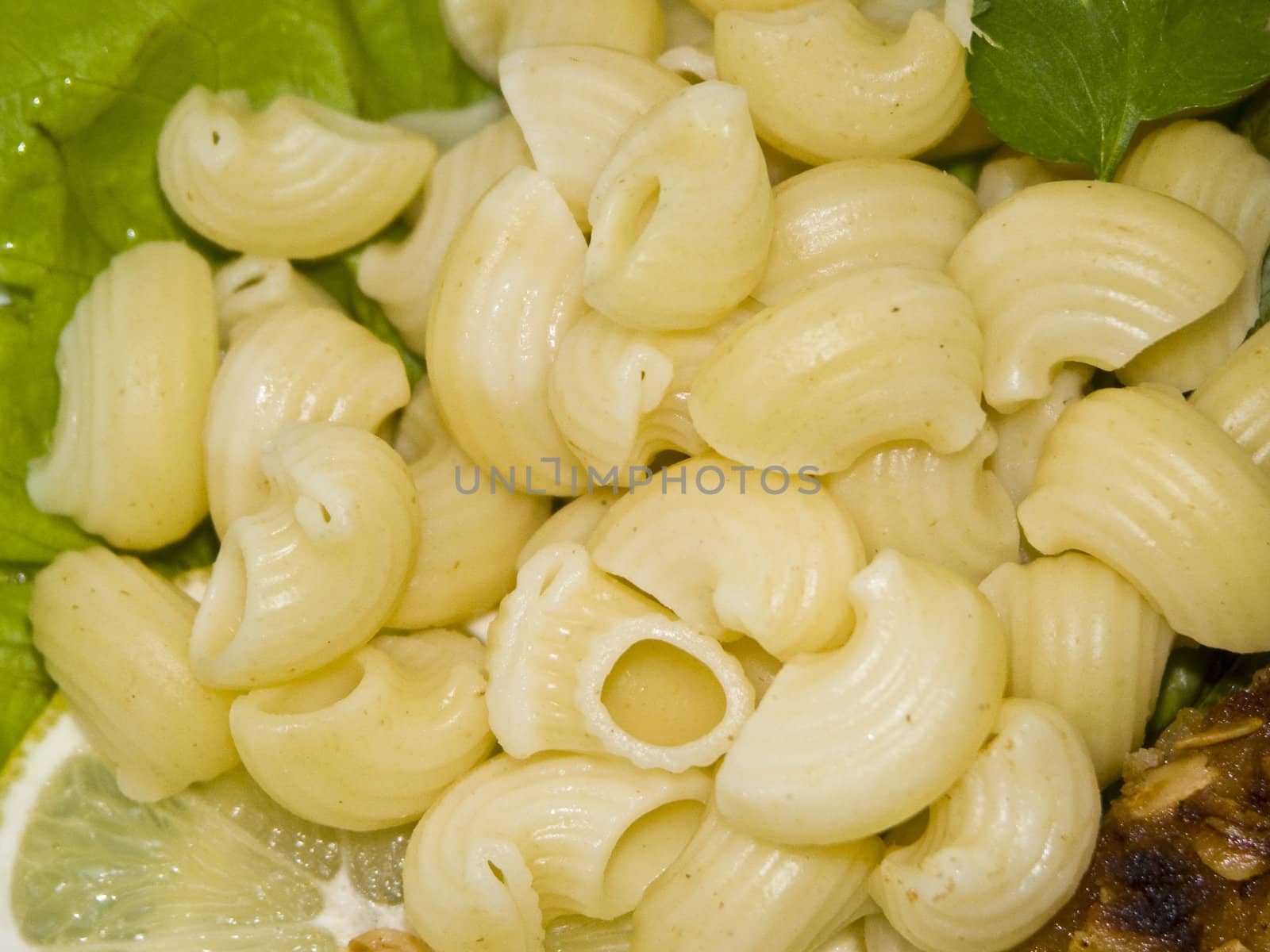  The image of macaroni on a plate close up