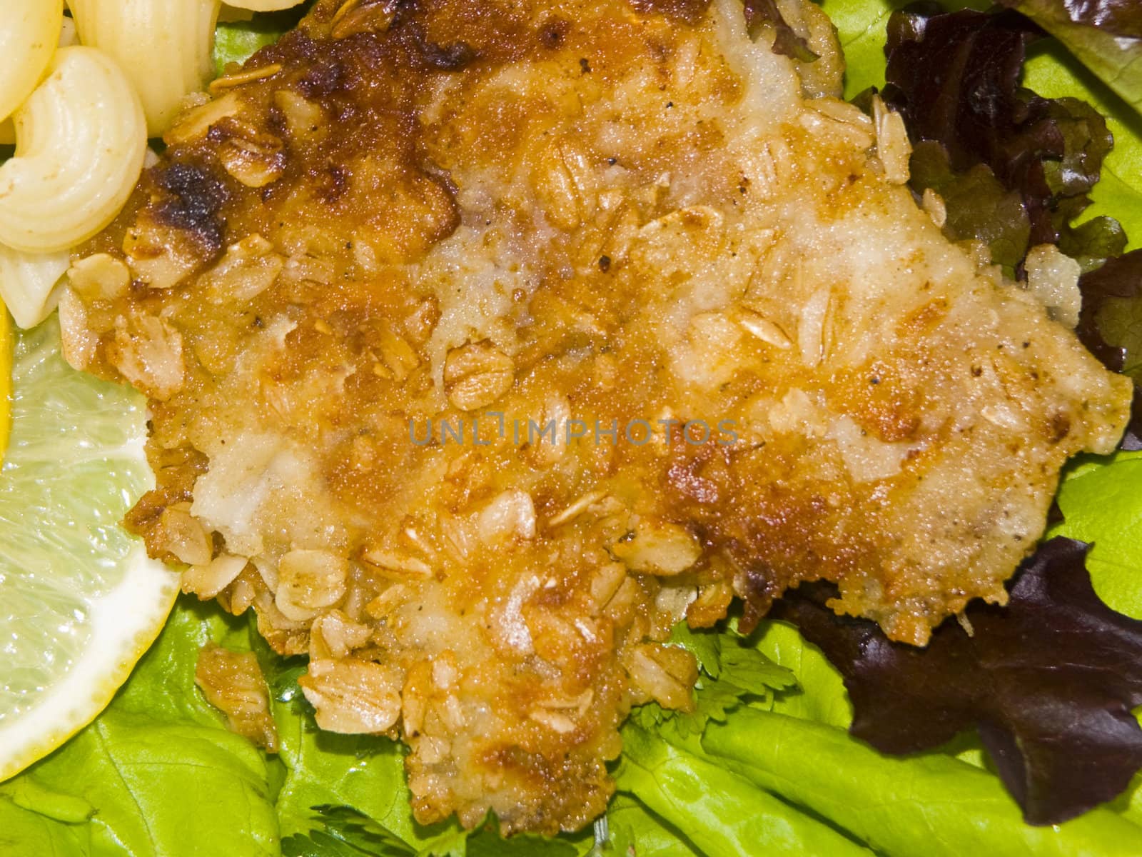 The image of macaroni of a fish and slices of a lemon close up