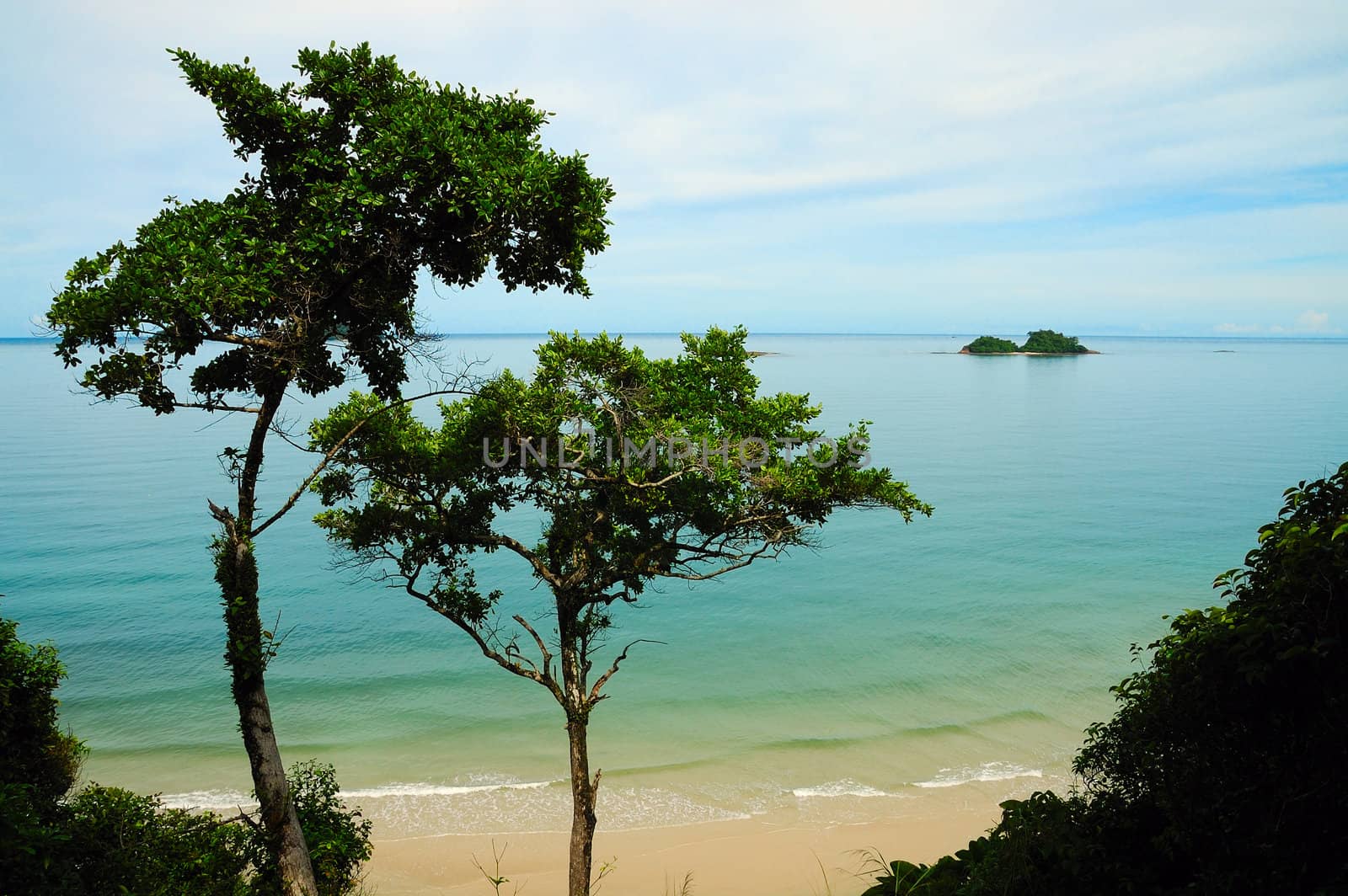 The tropical trees and islands in the beautiful lagoon