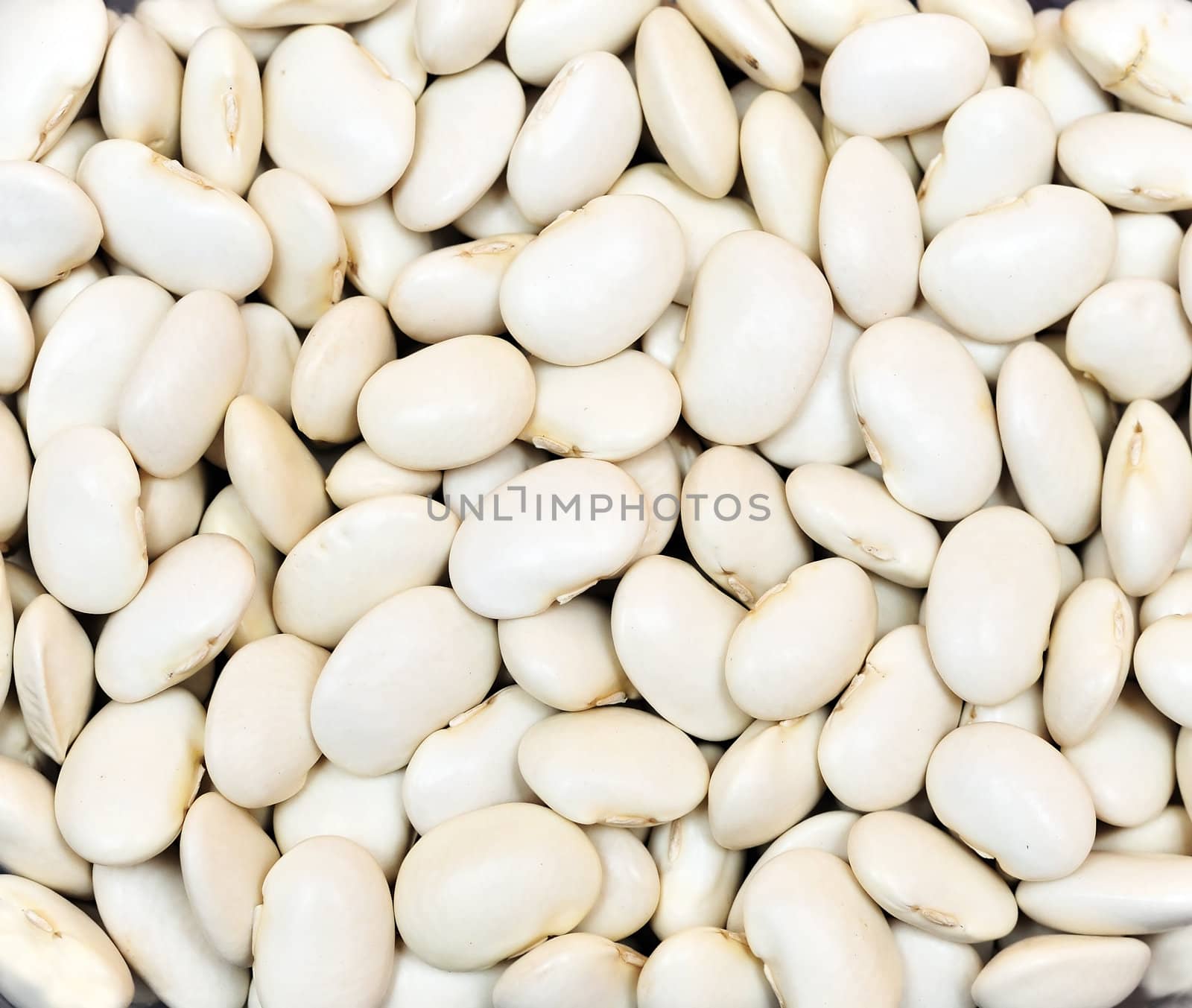 background of  white  kidney beans 