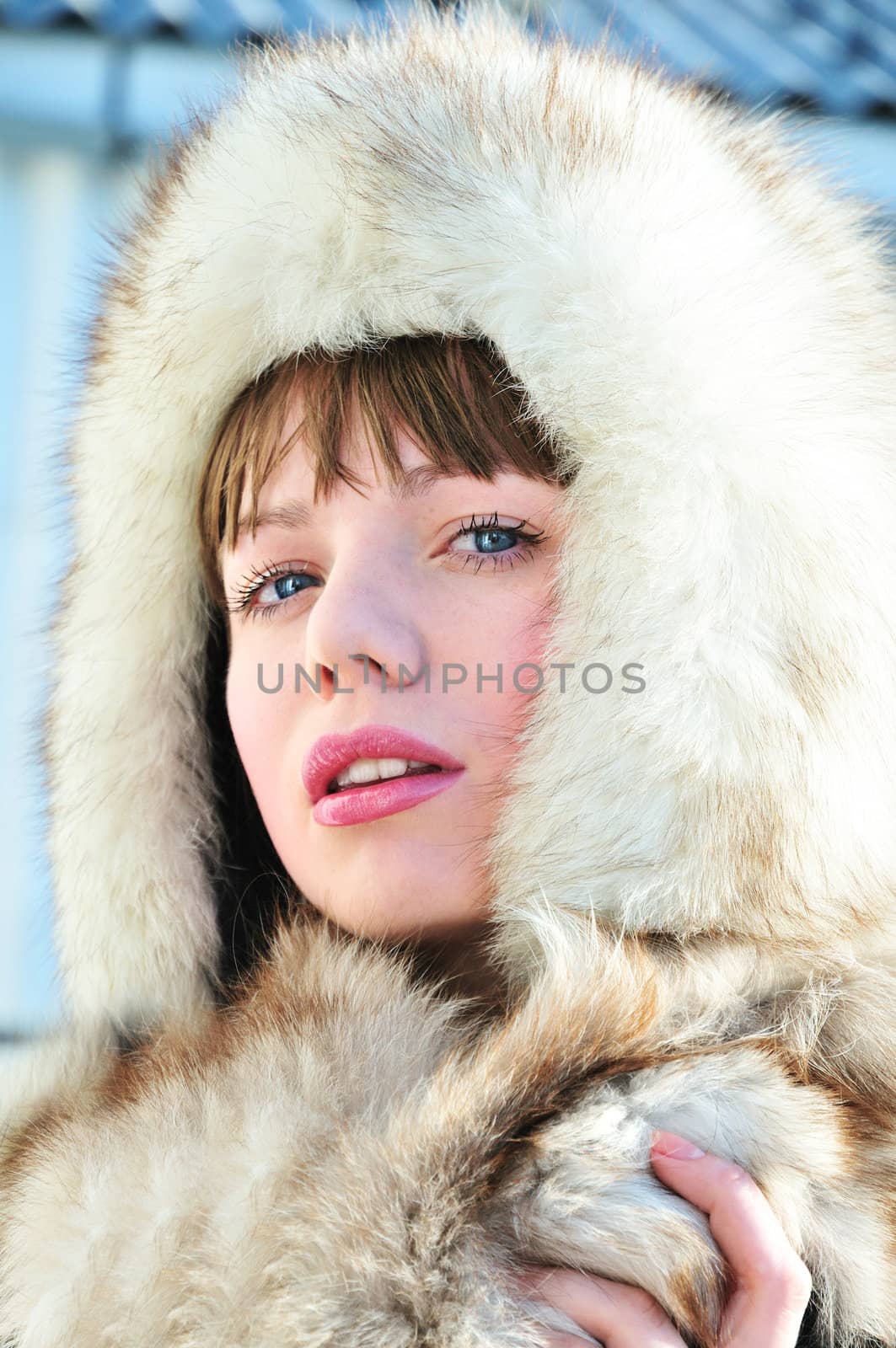 Beautiful tender woman wering fur hat and furs
