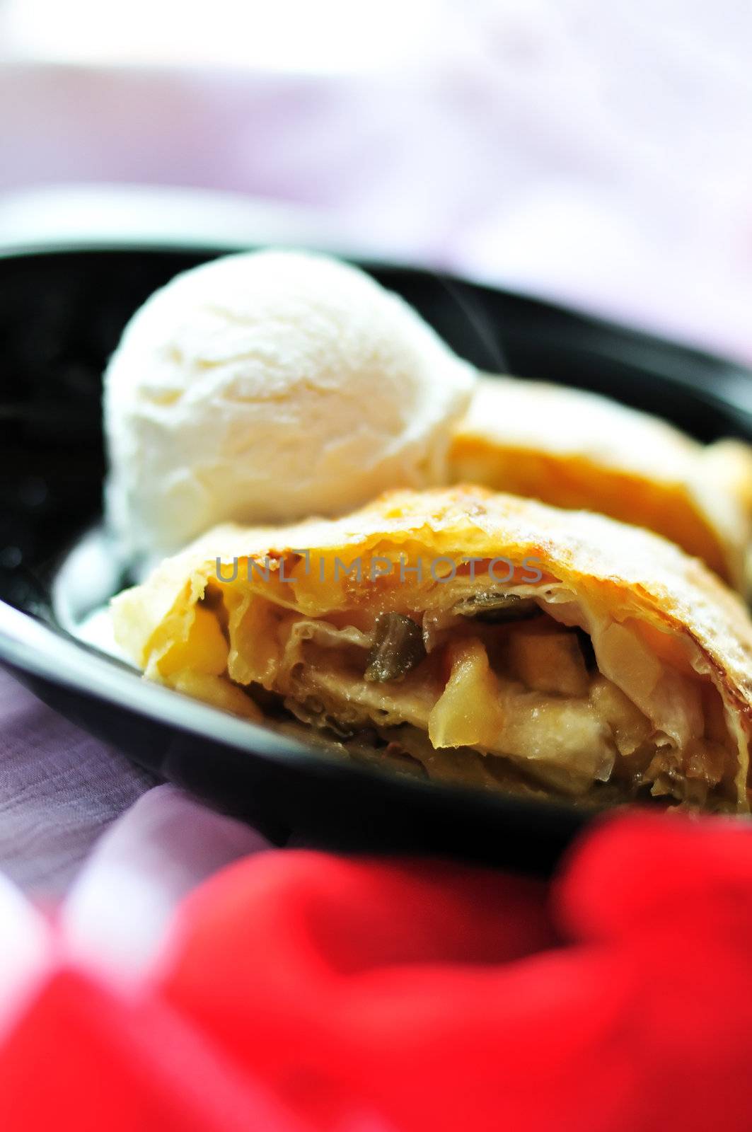 Apple hot  strudel with vanil ice cream
