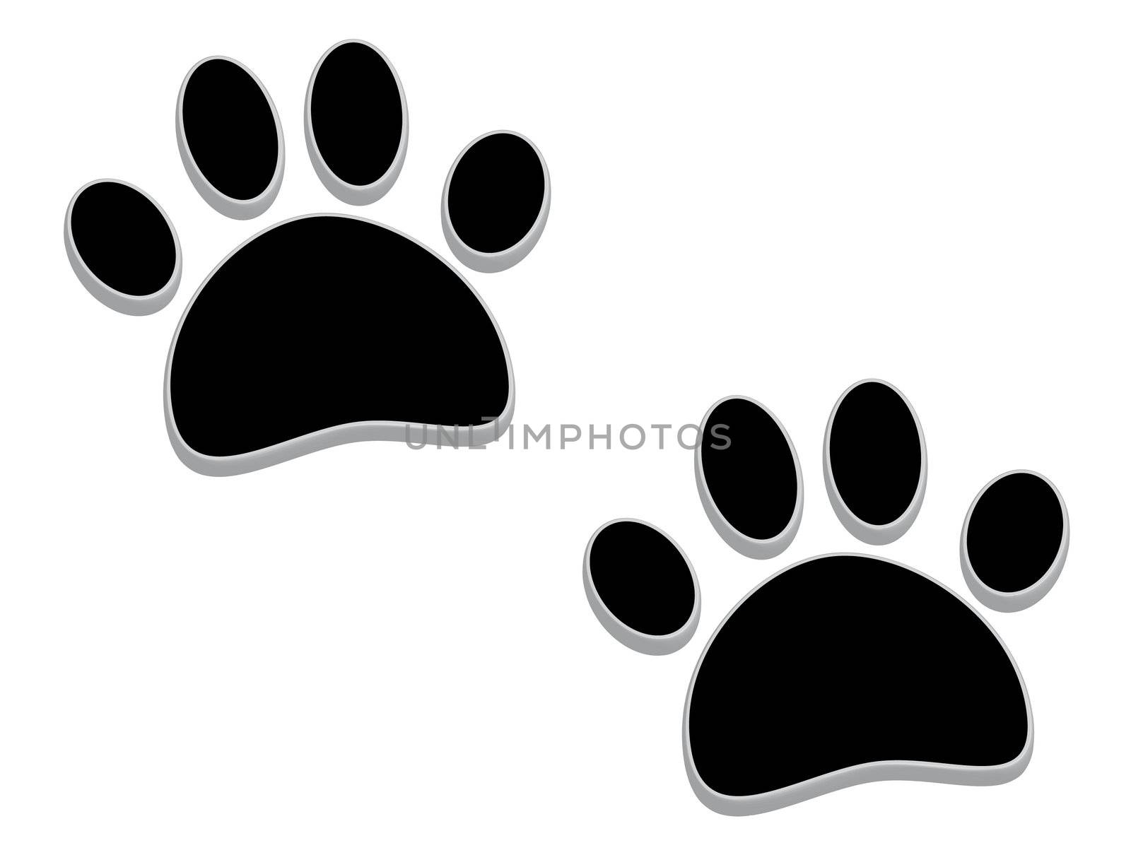 A pair of tridimensional animal footprints