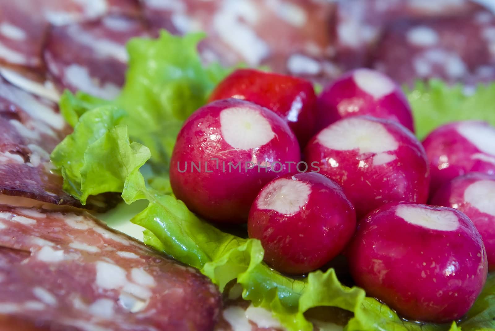 The salami snack with radish