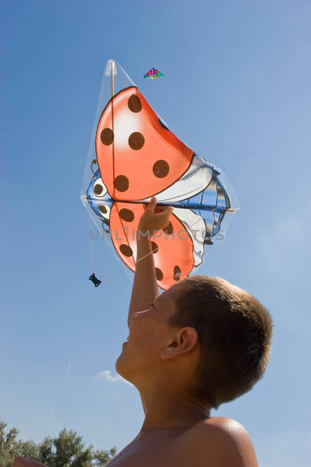 vacation, portrait of summer boy with kite