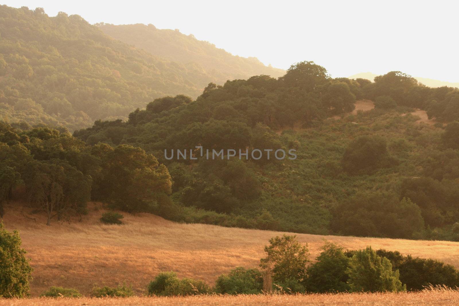 wildfire smoke California foothills by nebari