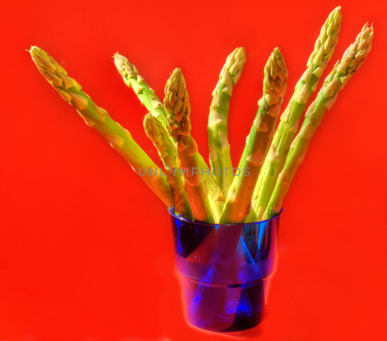 Stems green asparagus in turn blue glass on scarlet background