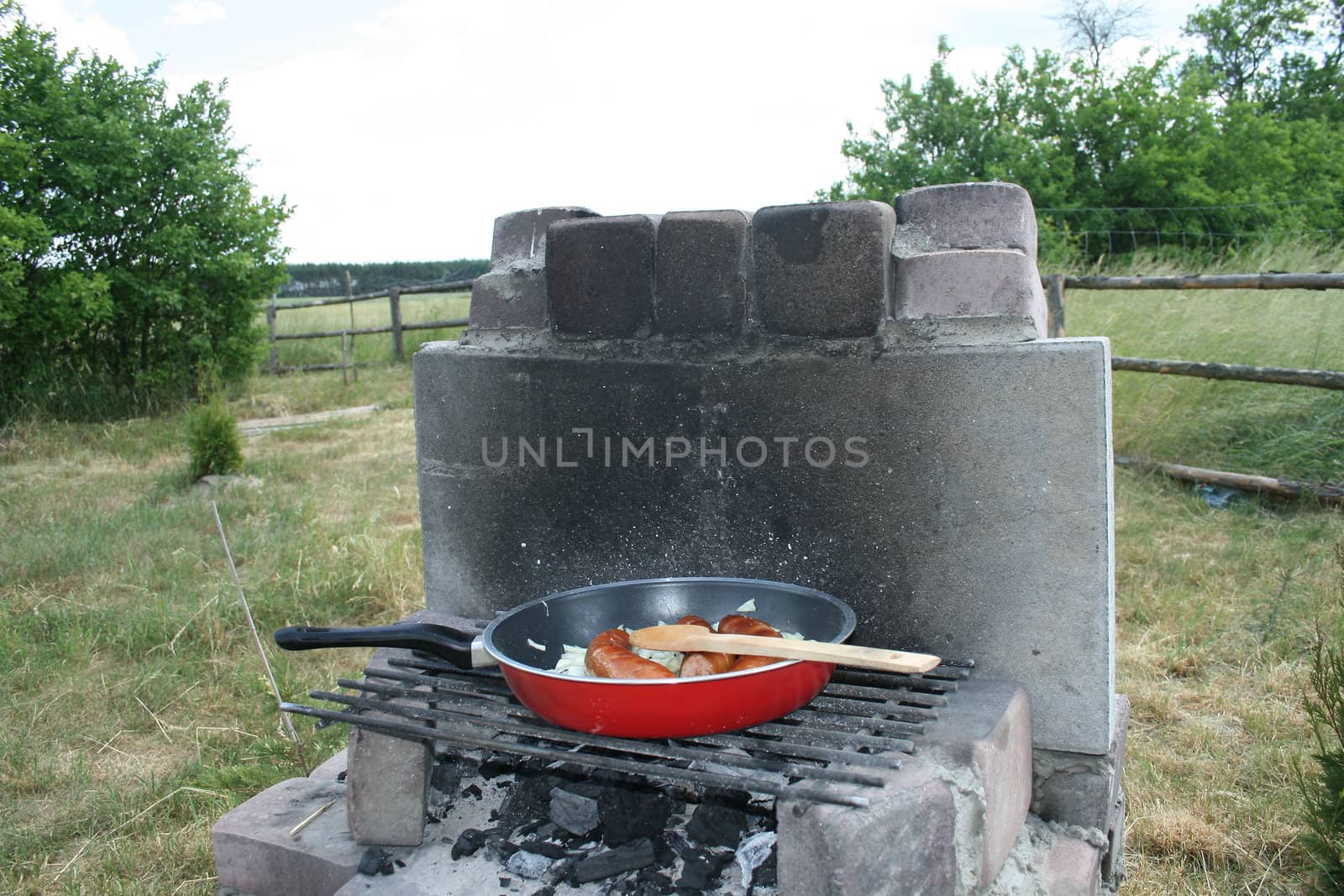 barbecue on the countryside, grilled sausage with onions