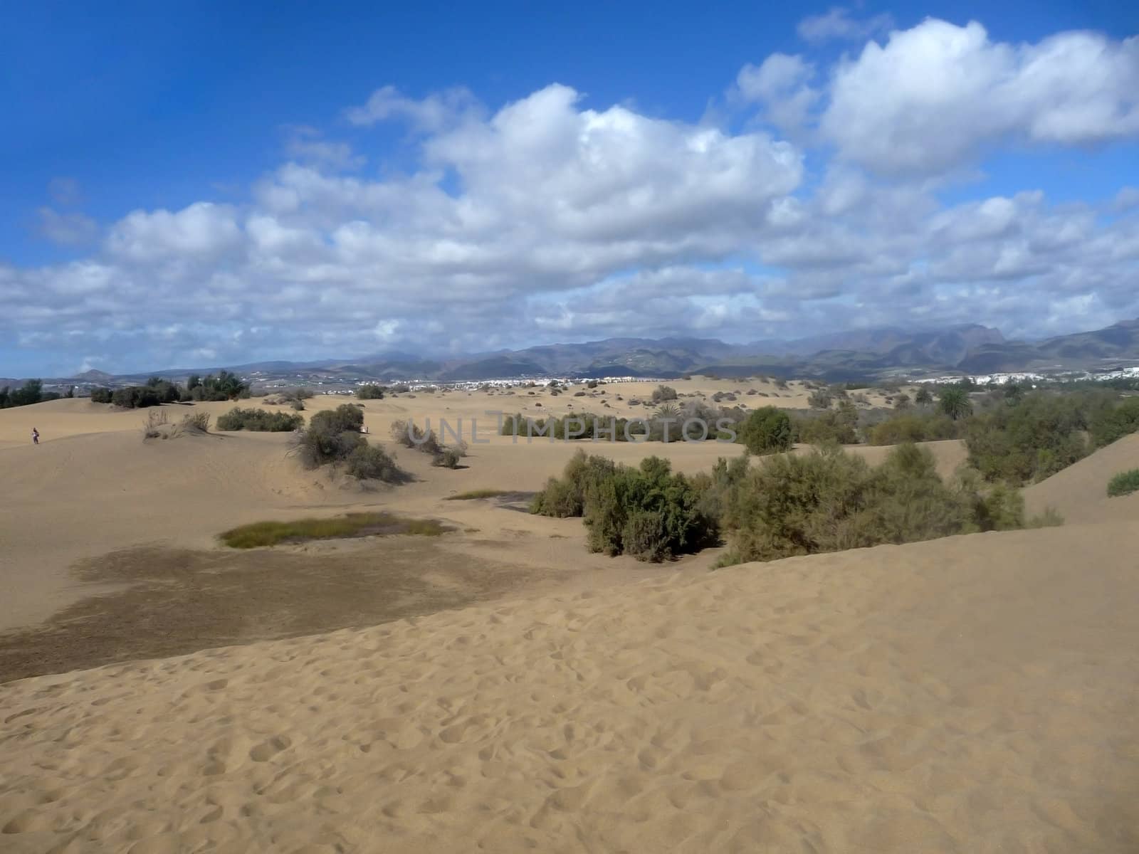 A scenic view of Maspalomas Dunes.