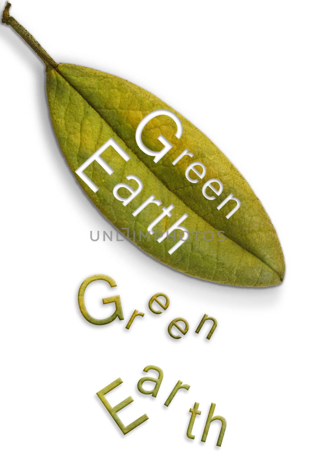 A leaf that has letters cut out of it that reads "green earth".  