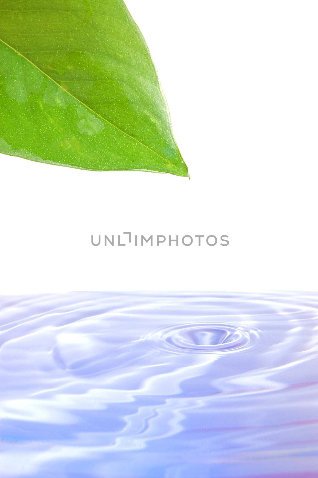 health and wellness concept with splashing water drop and leaf