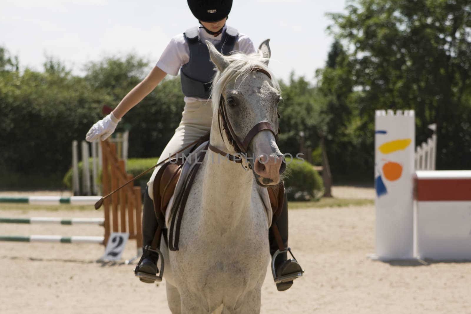 Horse and a young woman before jumping contest