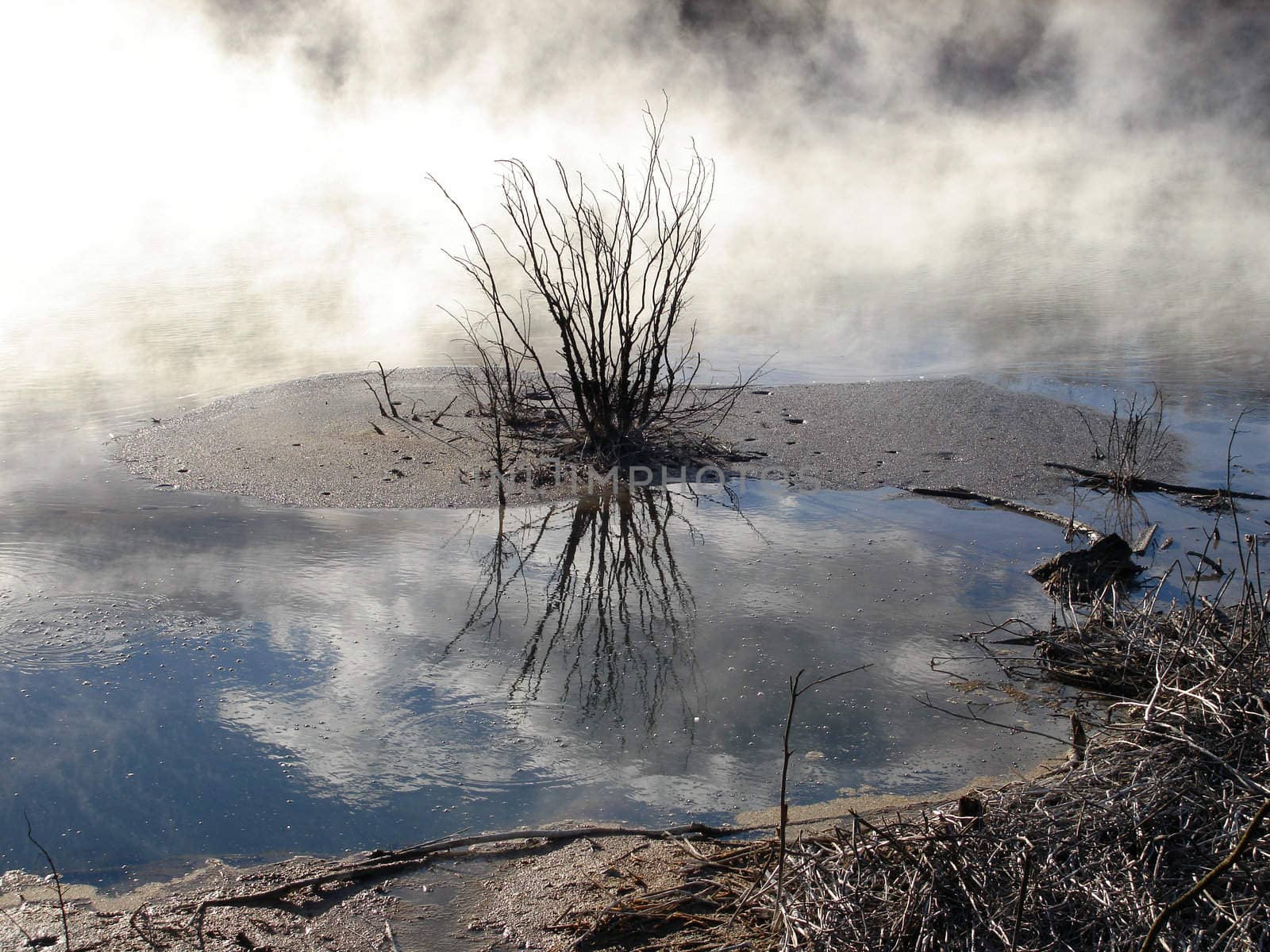 Geothermal Activity in Kuirau Park, Rotorua, New Zealand by Cloudia