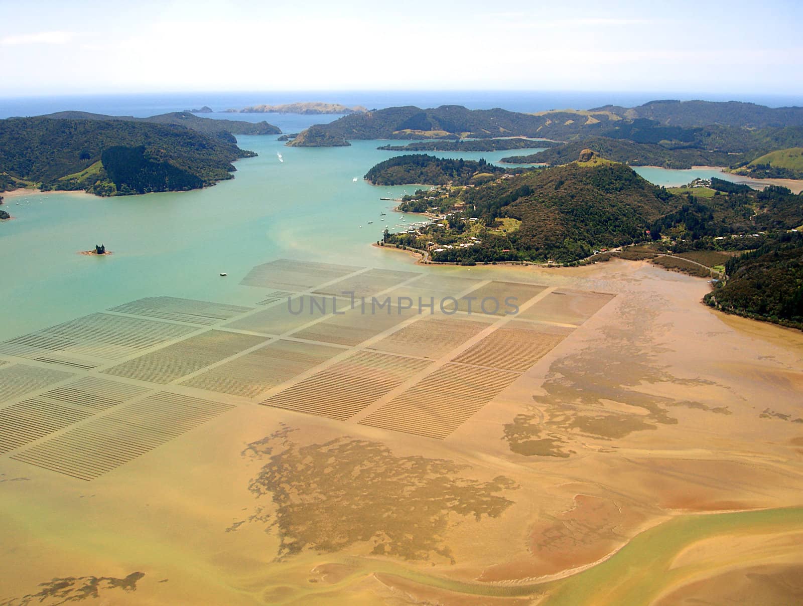 Mussel/Oyster Beds in Whangaroa Harbour, New Zealand. Town of Whangaroa is central and Motu Wai Island is on the left.