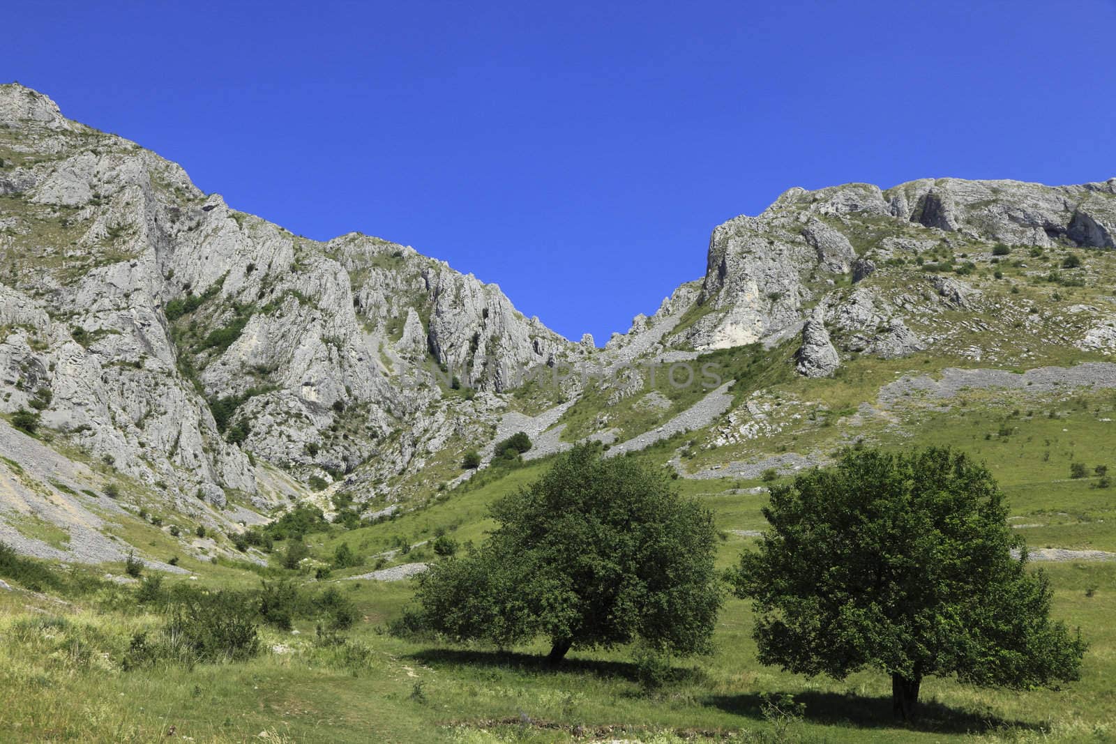 Summer image with rocks,green trees and blue sky in Trascau Mountains,Transylvania,Romania.
