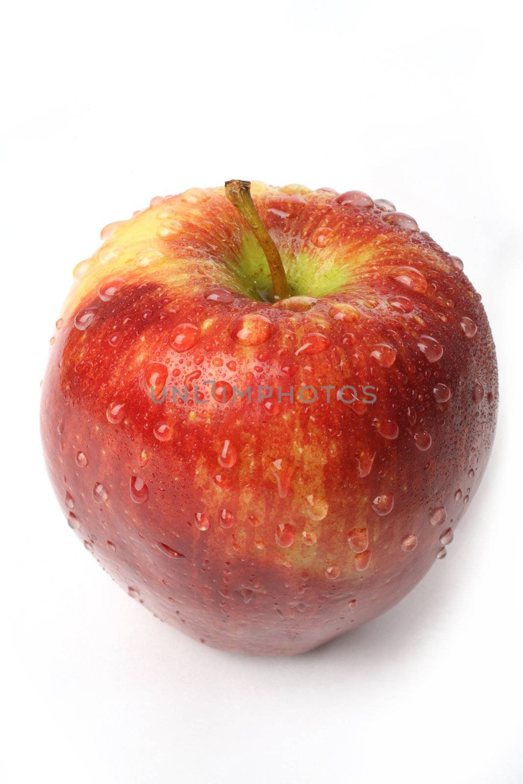 juicy red apple on a white background