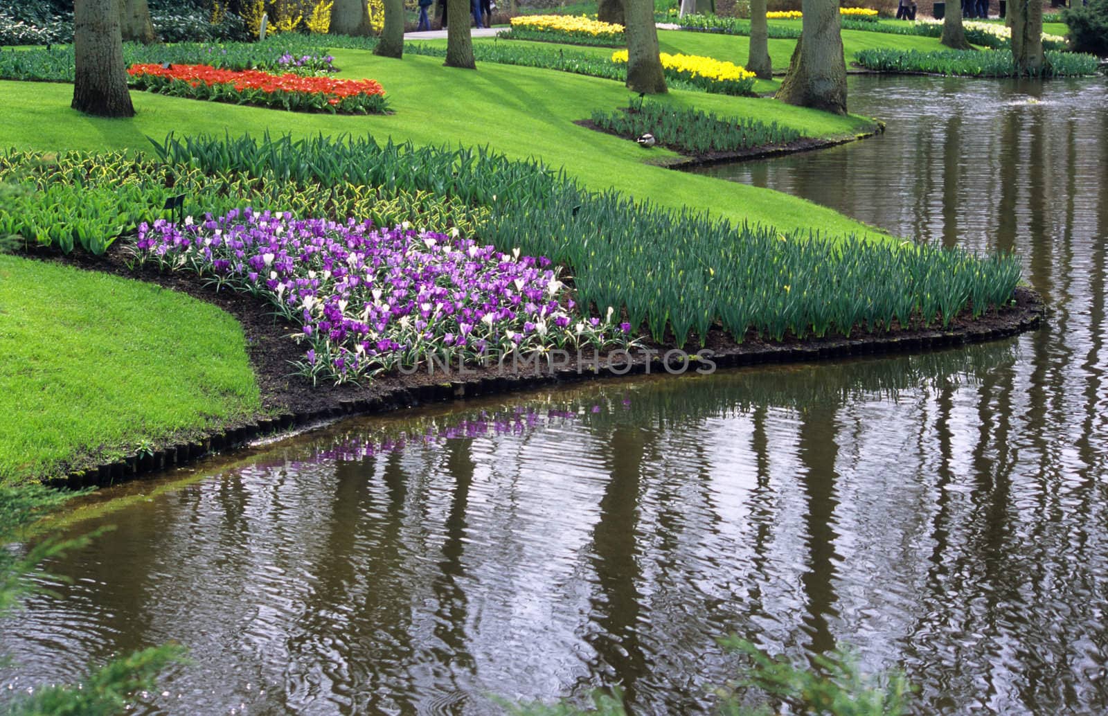 Keukenhof Gardens in the Netherlands is the world's most famous flower bulb garden.