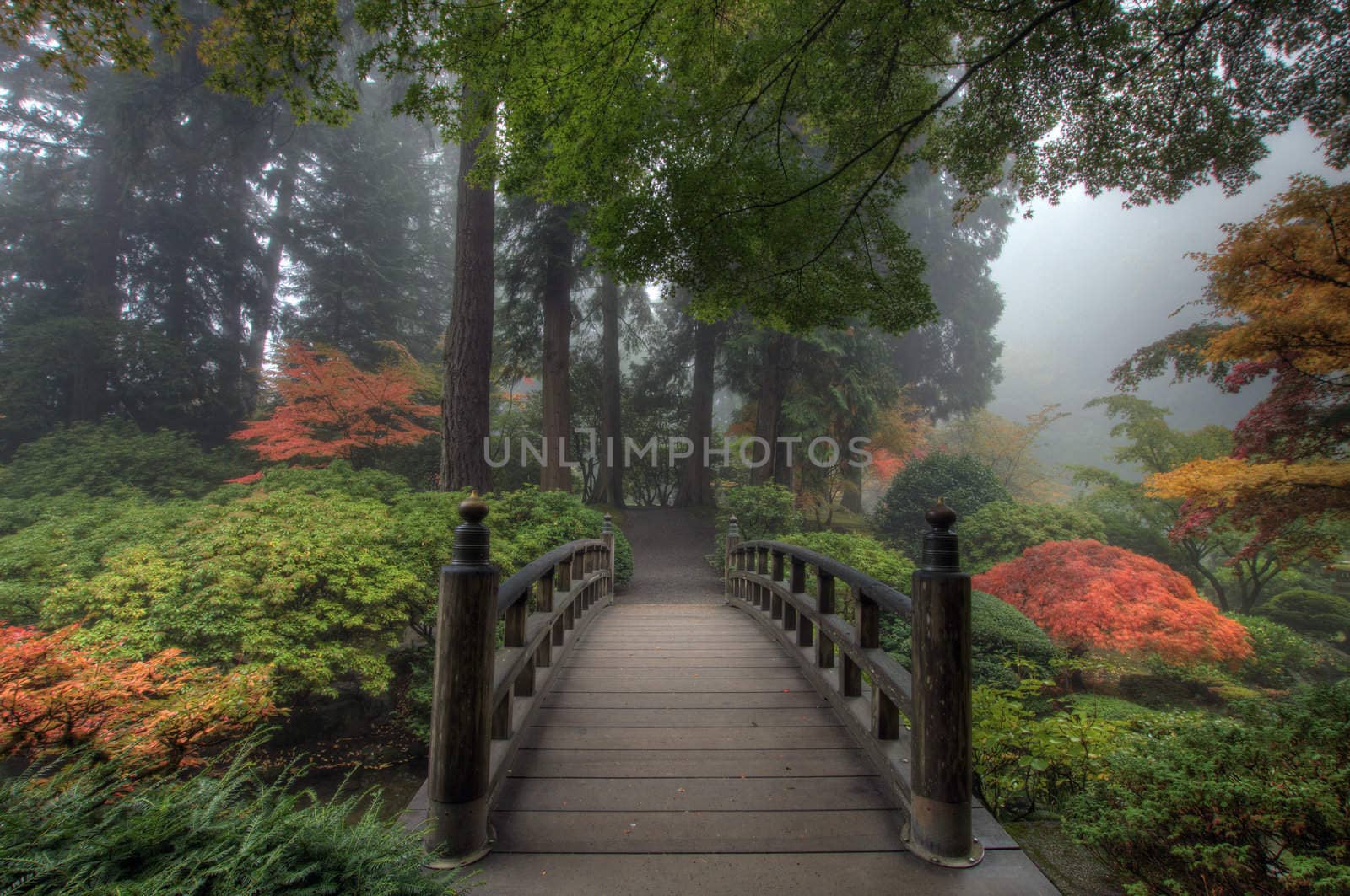 The Bridge in Portland Japanese Garden in the Fall