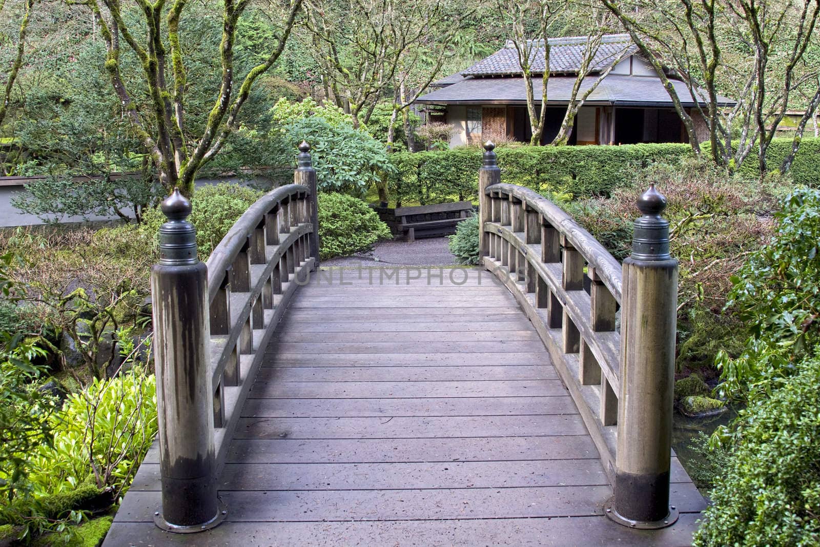 Bridge at Japanese Garden by Davidgn