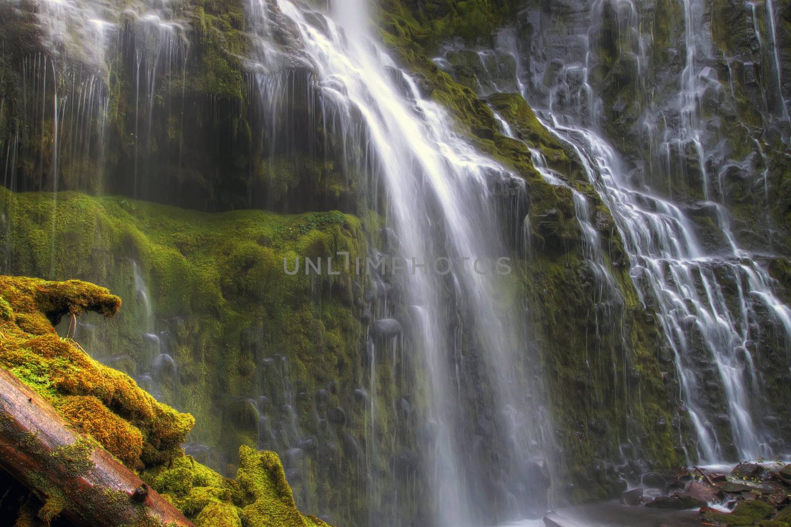 Proxy Falls in Oregon