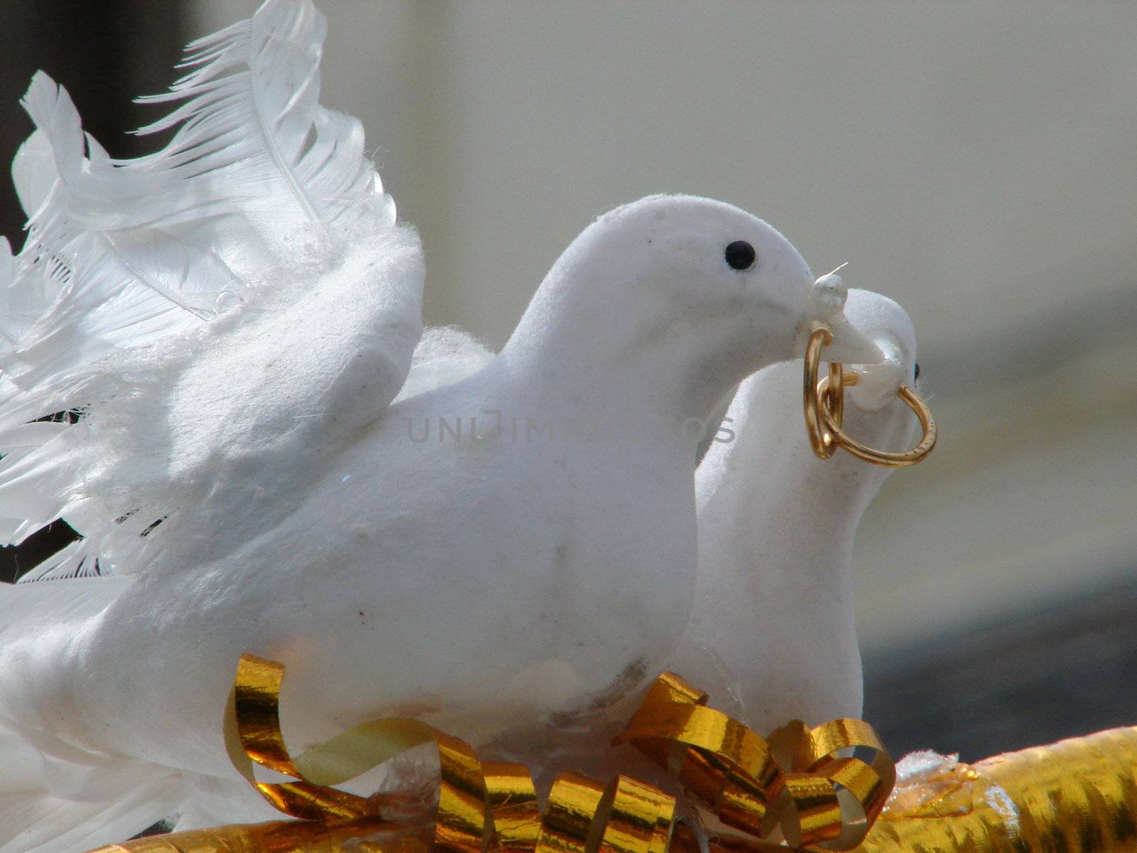 Wedding decorations with white pigeons and gold rings