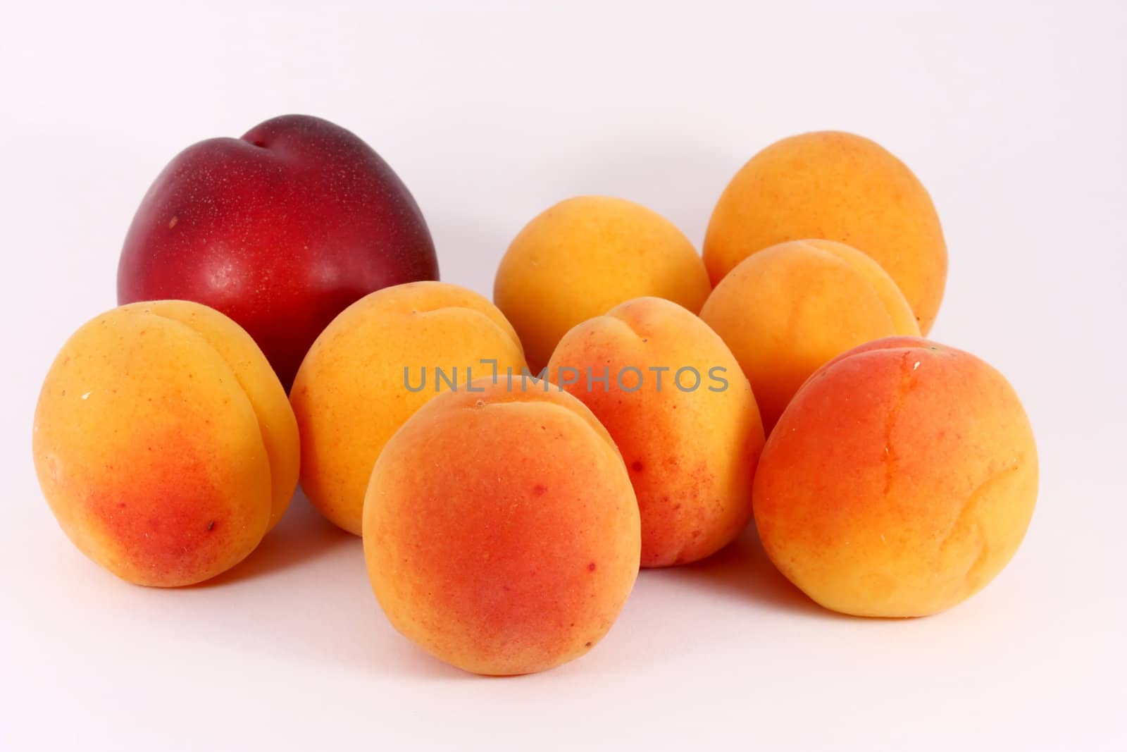 fresh colorful riped apricots and nectarine