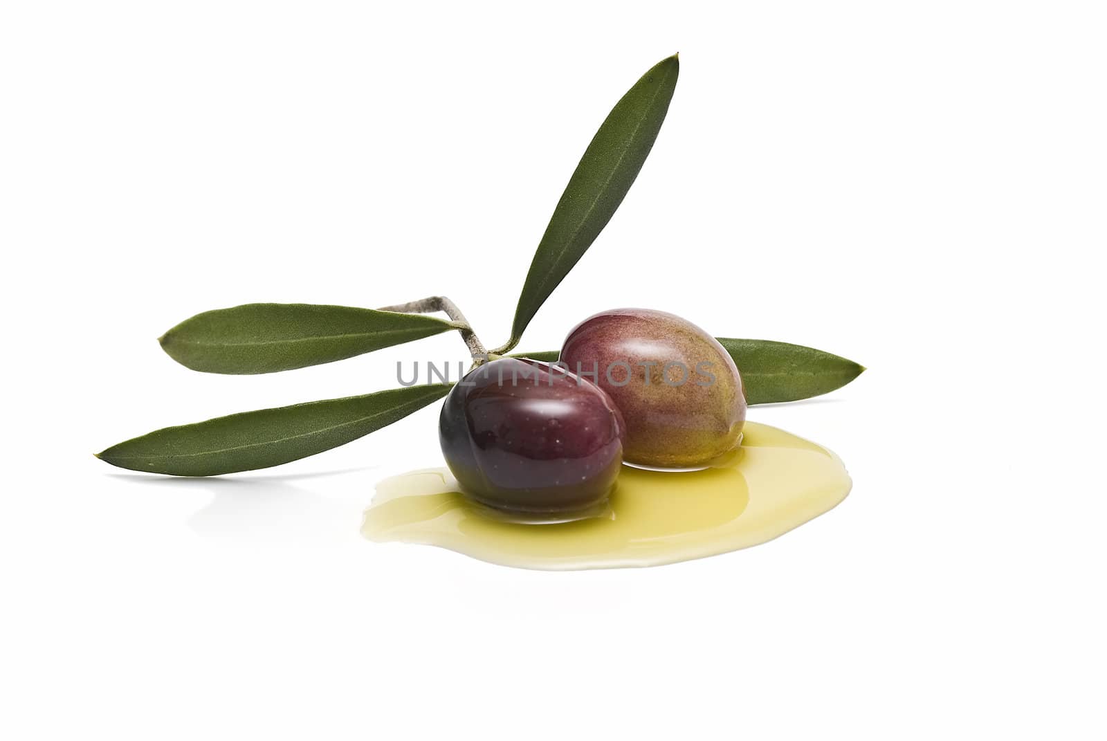 A branch with two olives on some oil.