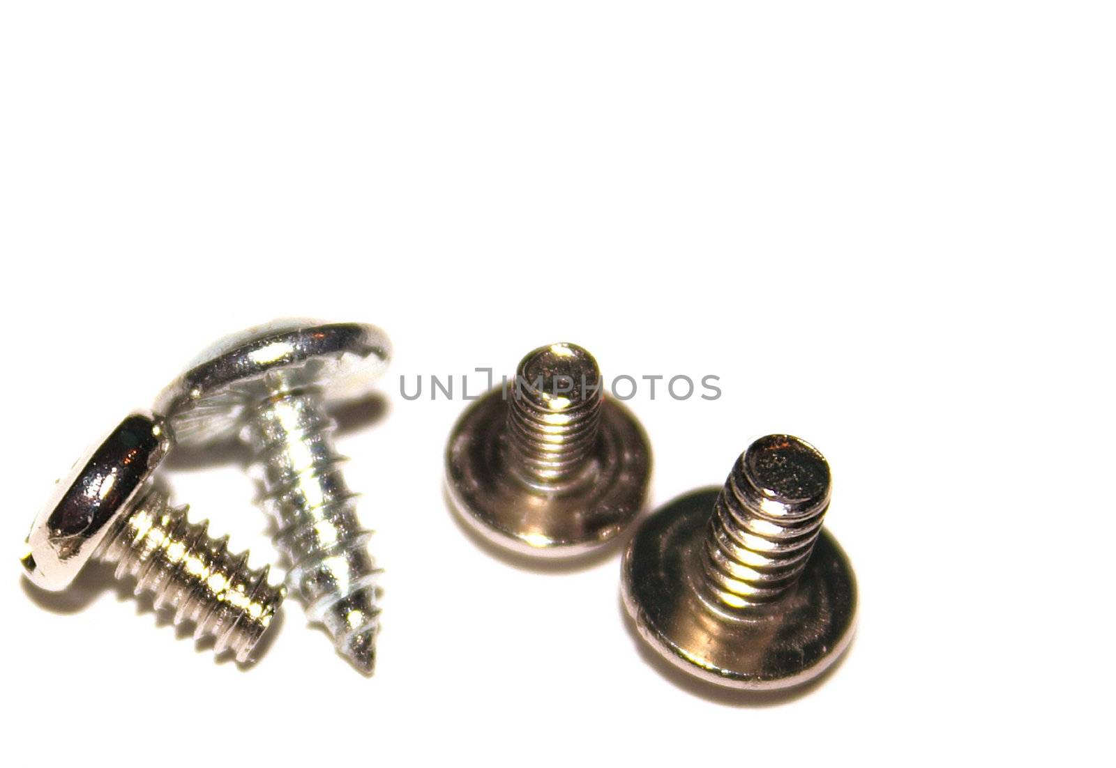 assorted small screws over a white background