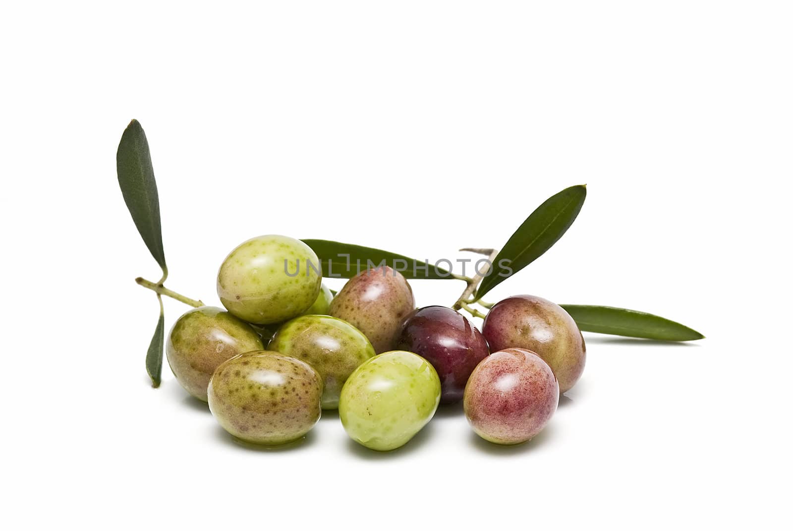Some olives with leaves.