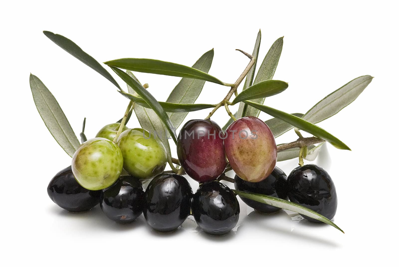 Some branches with olives and leaves.