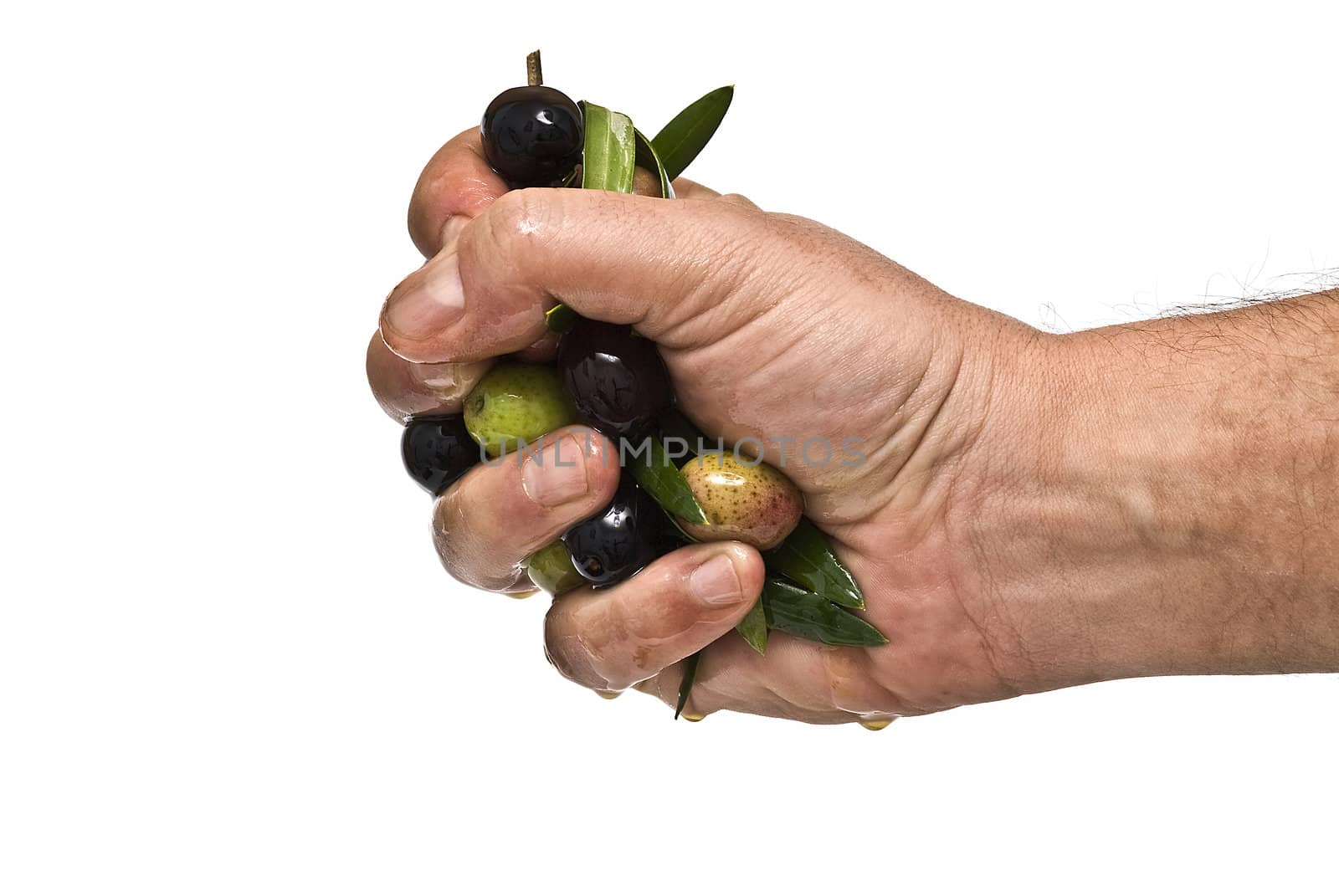 A man hand full of olives and olive oil.