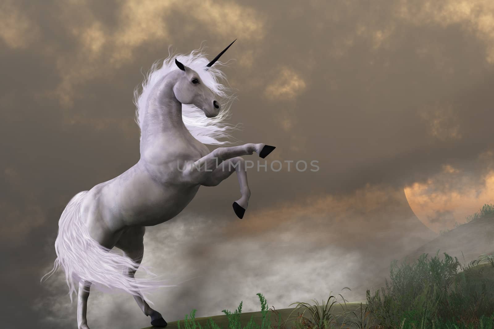 A unicorn stag asserts its power on a hill shrouded in clouds.