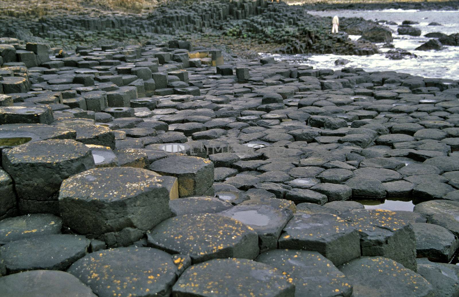 Giant's Causeway by ACMPhoto