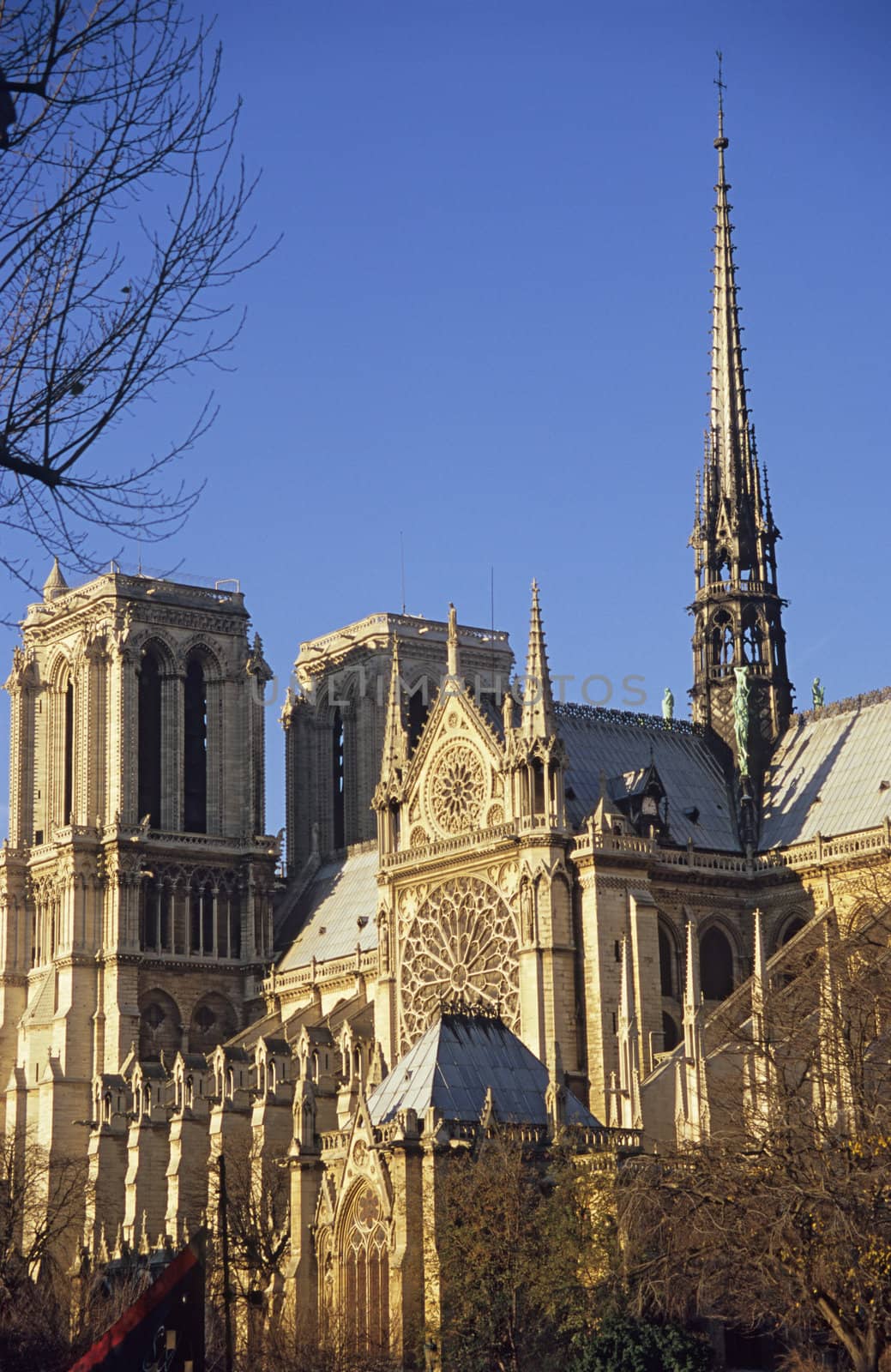 Notre Dame Cathedral, Paris in the golden dawn light.