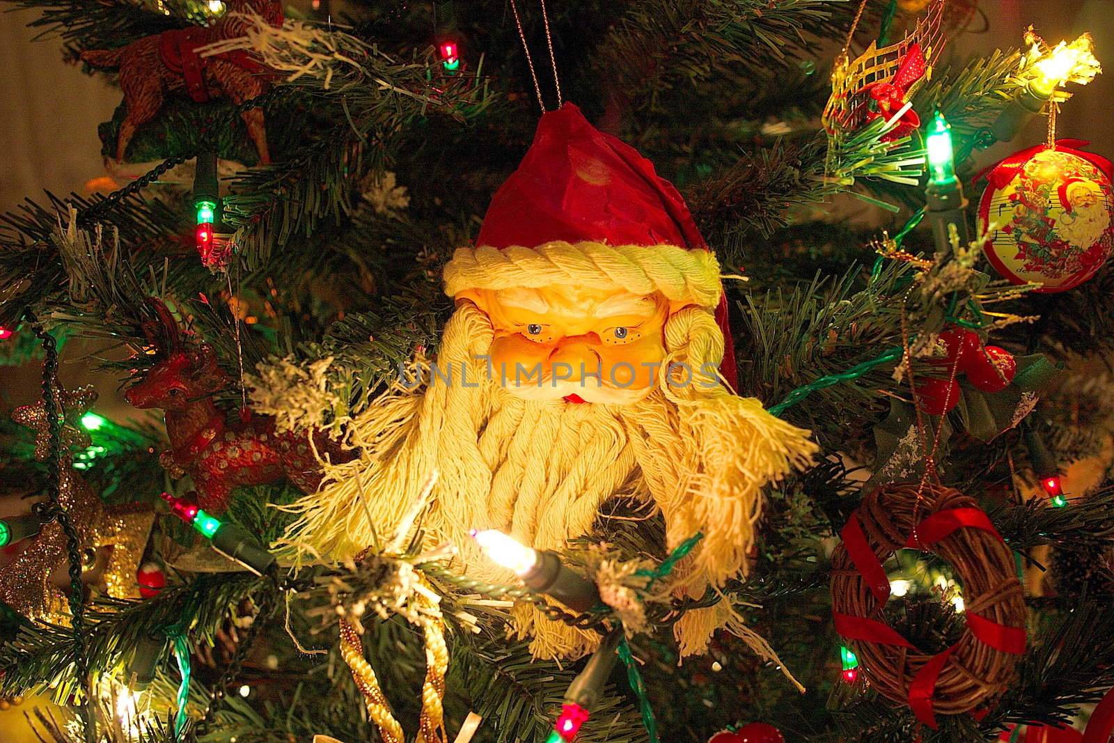 santas head amongst the christmas tree lights